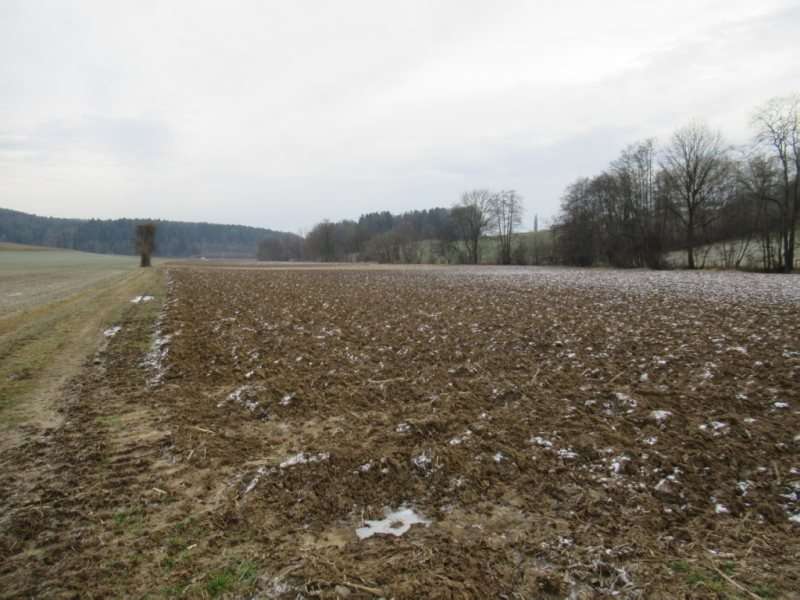 Land in Buch-St. Magdalena, Austria No. 33712