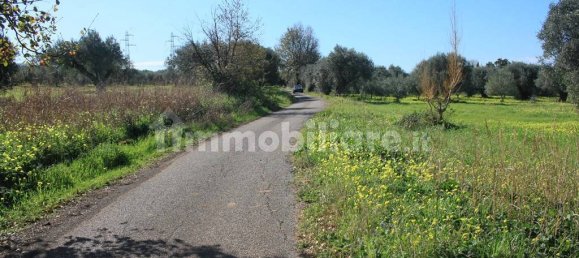 Terrain à Santa Maria del Cedro, Italy 11320m² No. 176670 4