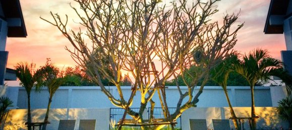 3 bedrooms Cafe / restaurant in Hua Hin, Thailand No. 7059 5