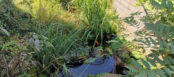 5 rooms Townhouse in Altenkirchen, Germany No. 148704 7