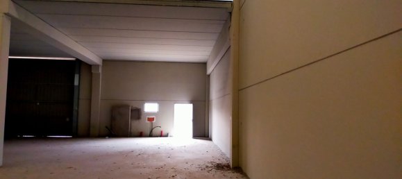 424m² Warehouse in Cartuja Baja, Spain No. 191502 5