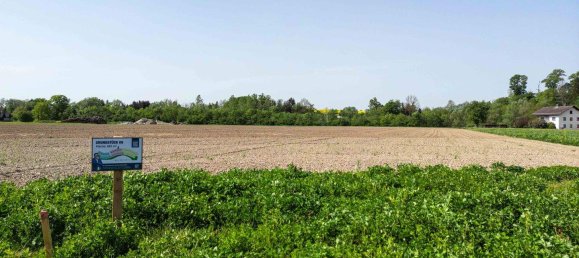  Land in Altheim, Austria No. 43382 2