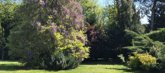 1 bedroom Villa in Capannoli, Italy No. 363586 21