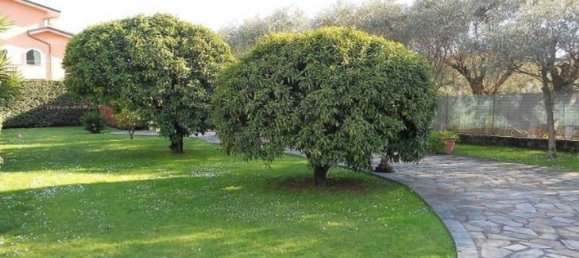 4 bedrooms Villa in Seravezza, Italy No. 51205 12