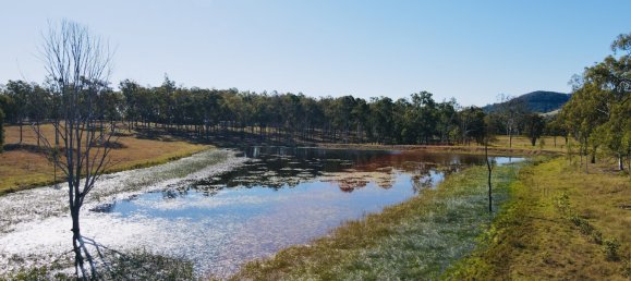 4 غرف نوم مزرعة في Woowoonga, Australia رقم 533 3