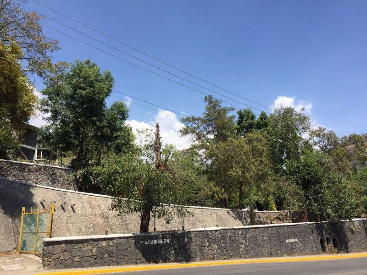  Land in Tenancingo, Mexico No. 204969