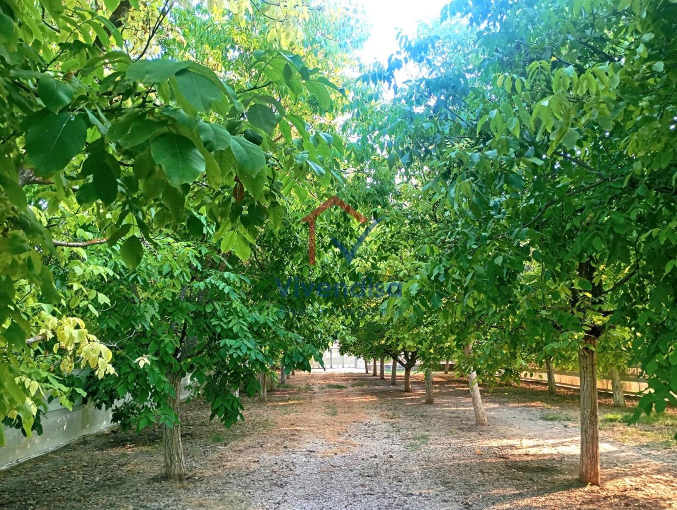 Terreno en Guadalajara, Spain No. 207396