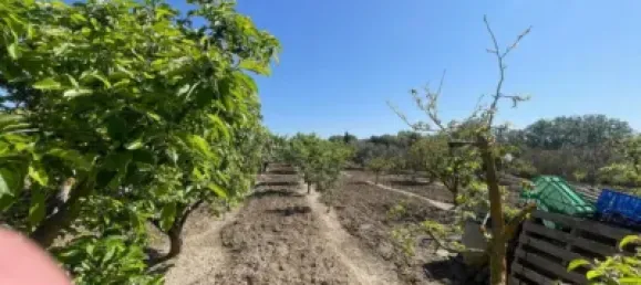 Terreno em Chartered Community of Navarre, Spain 2000 m² N.º 116420 18