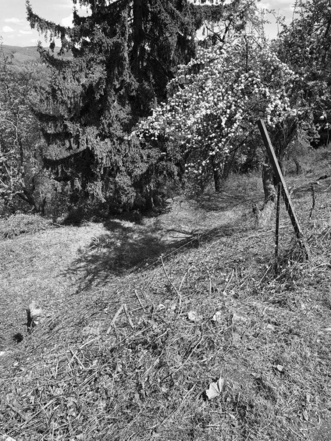  Land in Penzing, Austria No. 250268