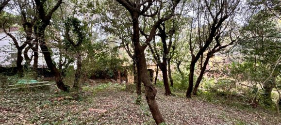 20 rooms Villa in Rosignano Marittimo, Italy No. 151643 31