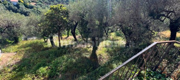 5 Schlafzimmer Villa in Imperia, Italy, Nr. 305547 11