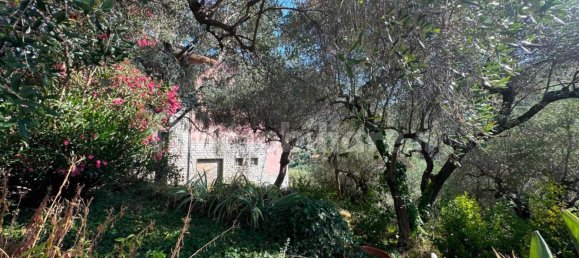 5 Schlafzimmer Villa in Imperia, Italy, Nr. 305547 9