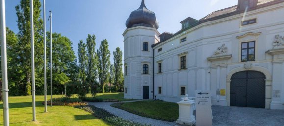 2 rooms Apartment in Schwechat, Austria No. 146989 2