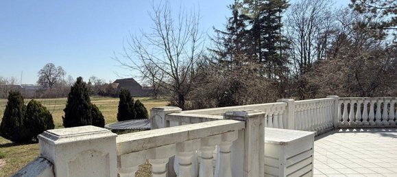 7 rooms House in Ganserndorf, Austria No. 251436 11