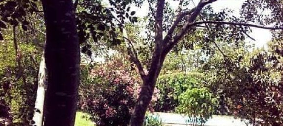 5 bedrooms Villa in Terrasini, Italy No. 252211 13