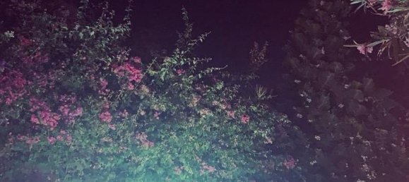 5 bedrooms Villa in Terrasini, Italy No. 252211 6