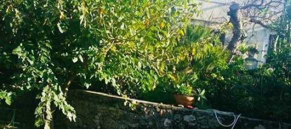 5 bedrooms Villa in Terrasini, Italy No. 252211 44