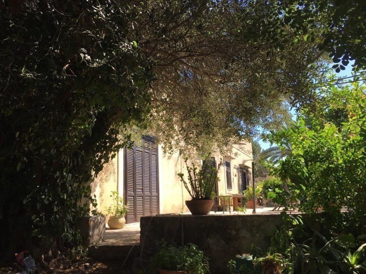 5 bedrooms Villa in Terrasini, Italy No. 252211