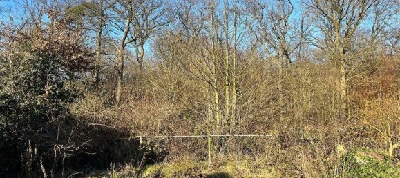 Casa de 6 divisões em Solingen, Germany N.º 44817 32