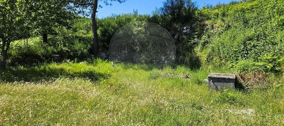 3 bedrooms House in Baiao, Portugal No. 15969 7