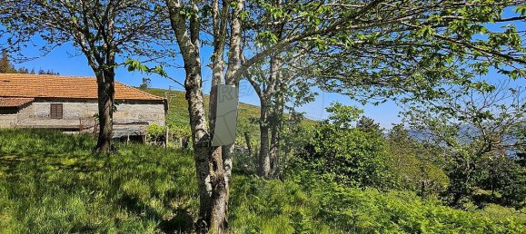 3 bedrooms House in Baiao, Portugal No. 15969 14