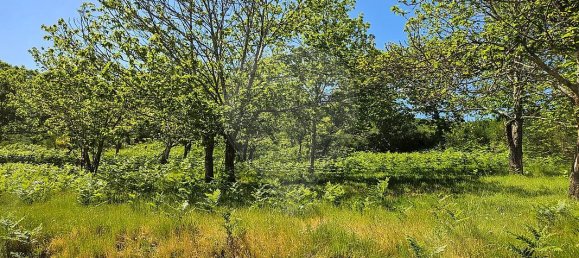 3 bedrooms House in Baiao, Portugal No. 15969 15