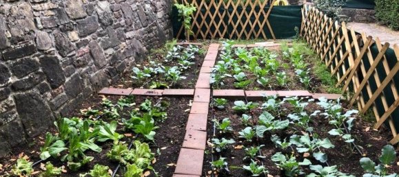 8 rooms Villa in Gazzola, Italy No. 218326 42