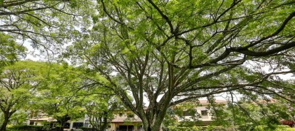 Terreno em Santa Ana, Costa Rica N.º 1928 6