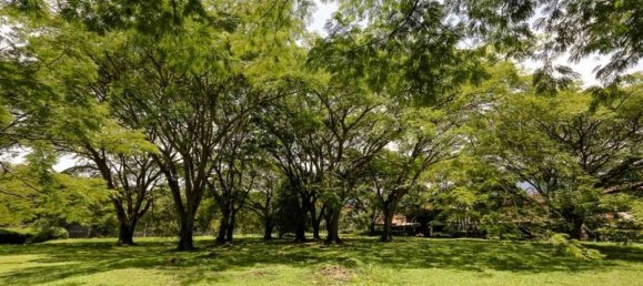 Terreno em Santa Ana, Costa Rica N.º 1928 5