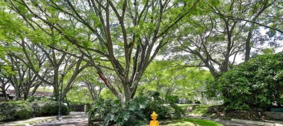 Terreno em Santa Ana, Costa Rica N.º 1928 2