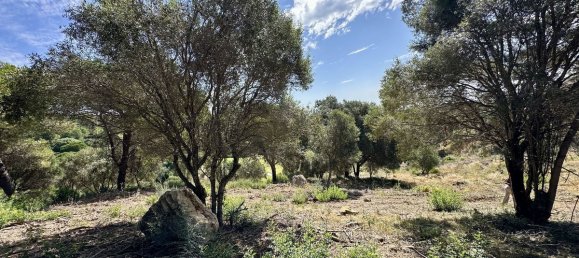 Land in Cadiz, Spain No. 280091 3