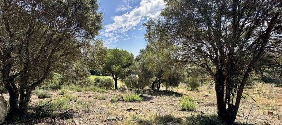 Land in Cadiz, Spain No. 280091 5