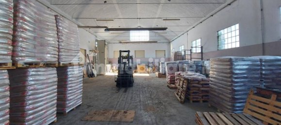 385m² Warehouse in Lugo, Italy No. 317779 14