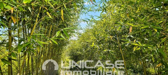 Дом с 5 комнатами в Баньоло Пьемонте, Италия № 290318 10