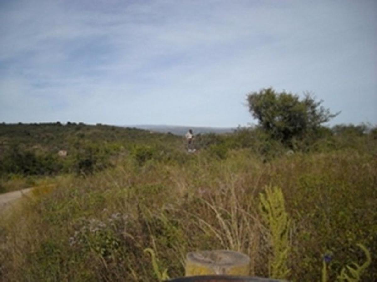  قطعة أرض في Cordoba, Argentina رقم 44360