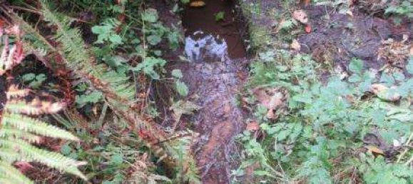 1 bedroom Bungalow in Gotha, Germany No. 161945 12