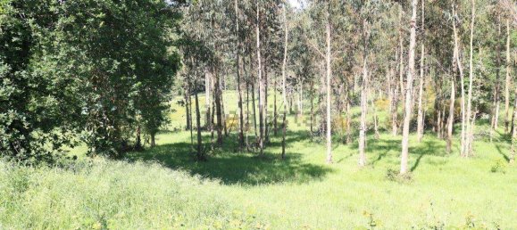 Terreno en Vedra, Spain 803 m² No. 74720 12