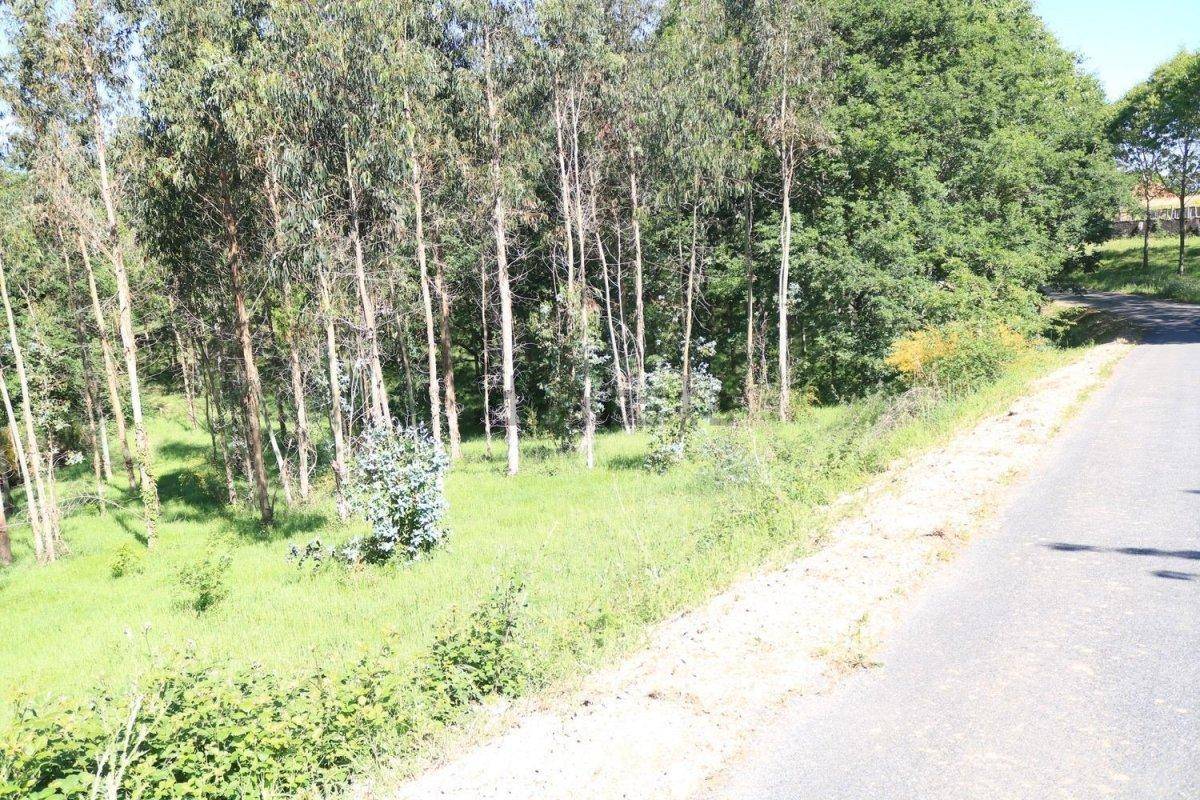 Terreno en Vedra, Spain 803 m² No. 74720