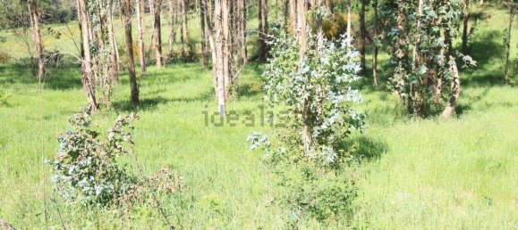 Terreno en Vedra, Spain 803 m² No. 74720 5