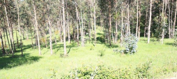 Terreno en Vedra, Spain 803 m² No. 74720 11