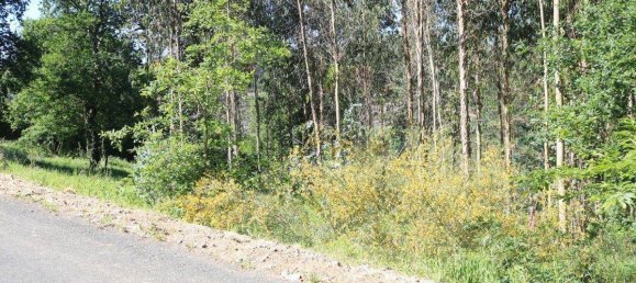 Terreno en Vedra, Spain 803 m² No. 74720 2