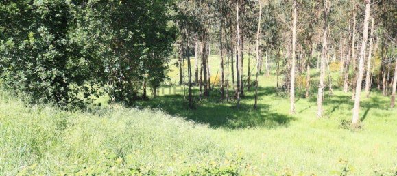 Terreno en Vedra, Spain 803 m² No. 74720 7