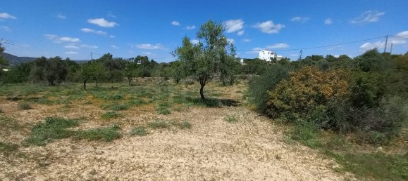 5080m² Land in Faro, Portugal No. 60556 4