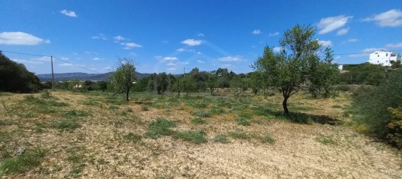 5080m² Land in Faro, Portugal No. 60556 8