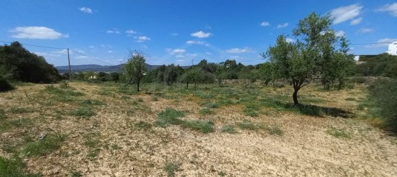 5080m² Land in Faro, Portugal No. 60556 6