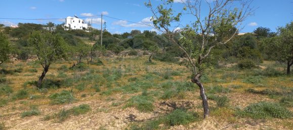 5080m² Land in Faro, Portugal No. 60556 2