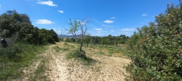 5080m² Land in Faro, Portugal No. 60556 9