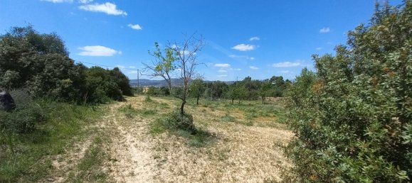 5080m² Land in Faro, Portugal No. 60556 10