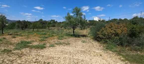 5080m² Land in Faro, Portugal No. 60556 7