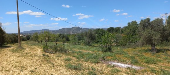 5080m² Land in Faro, Portugal No. 60556 3